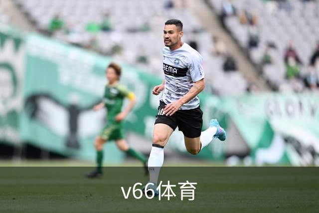 关于v66体育